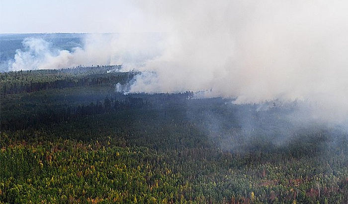 Тайга продолжает гореть на севере Иркутской области