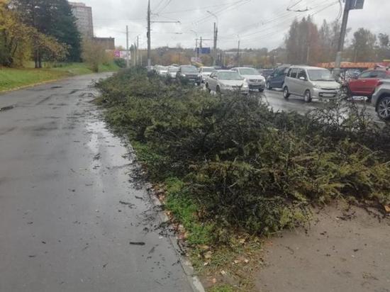 На улице Лермонтова в Иркутске срубили деревья, чтобы расширить трассу