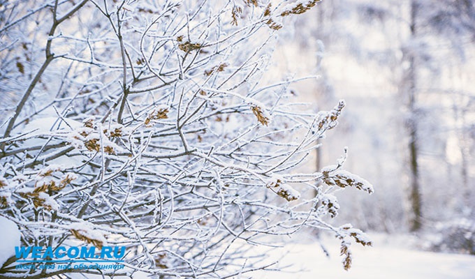 В Иркутске ударят морозы перед Новым годом