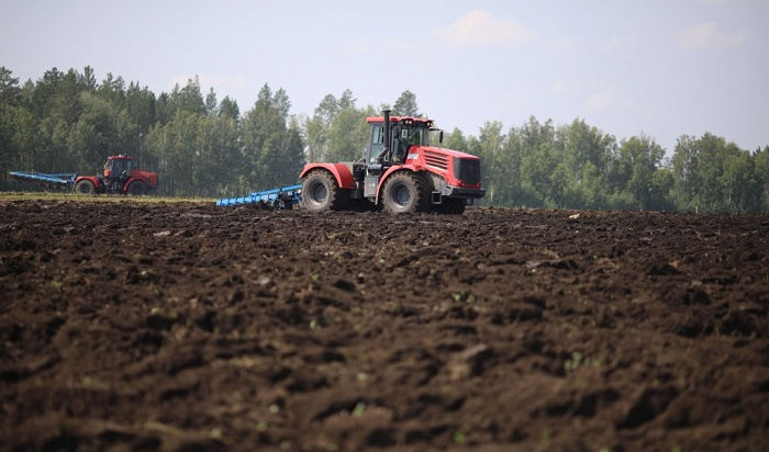 В Иркутской области планируют произвести 1 млн тонн зерна в 2020 году