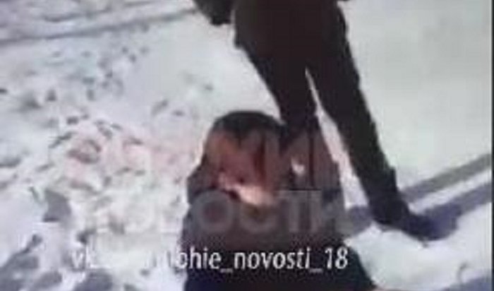 Полиция разбирается в конфликте между школьниками в Братске (Видео)