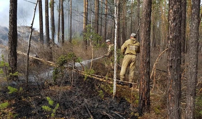 Лесной пожар ликвидируют в Братском районе