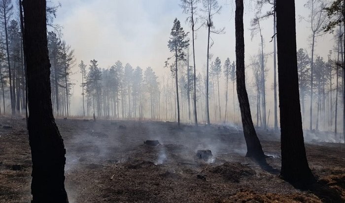 10 лесных пожаров ликвидировали в Иркутской области 21 апреля