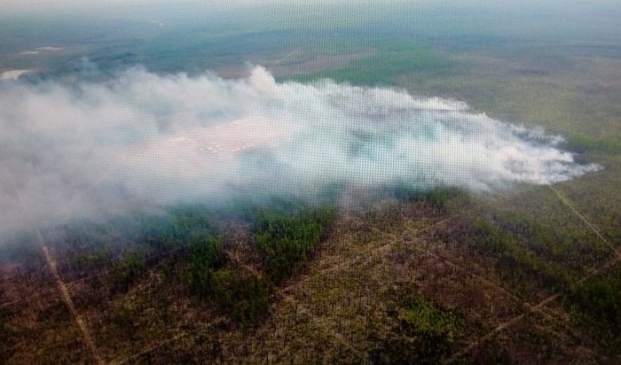 В Иркутской области потушили все лесные пожары