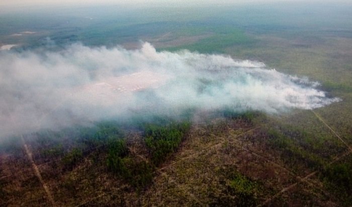 Почти 5,5 тысячи га тайги горит в Иркутской области
