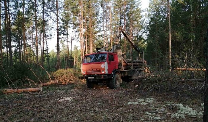 В Иркутской области задержали двух черных лесорубов