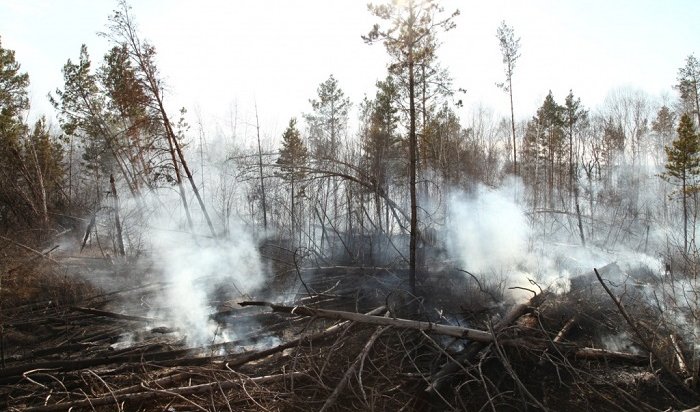 В Приангарье действуют 12 лесных пожаров