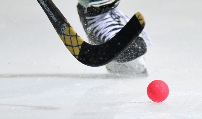 Кубок России по хоккею с мячом проведут в Иркутске и Ульяновске