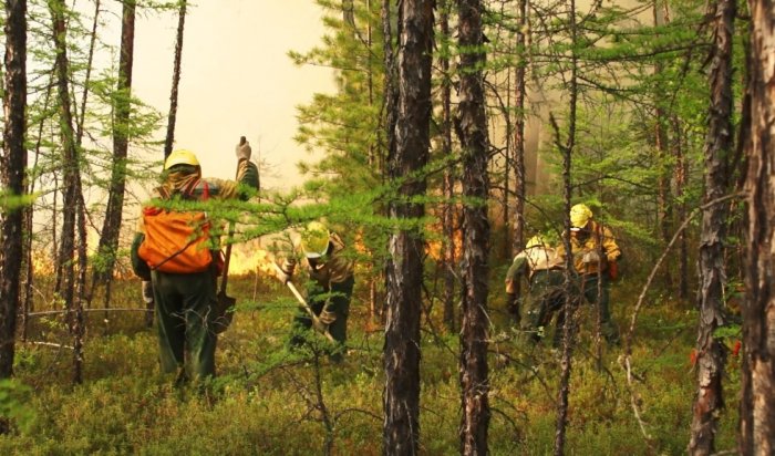 В Иркутской области за прошедшие сутки потушили 18 лесных пожаров