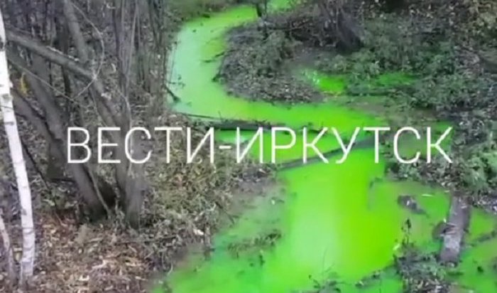 Иркутяне жалуются на ярко-зеленый ручей в микрорайоне Топкинский