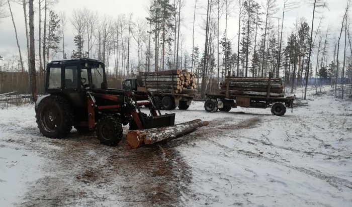 31 незаконную рубку леса выявили на территории Приангарья при проведении операции «Колея»