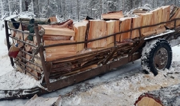 Жителю Балаганского района грозит 7 лет лишения свободы за незаконную рубку леса