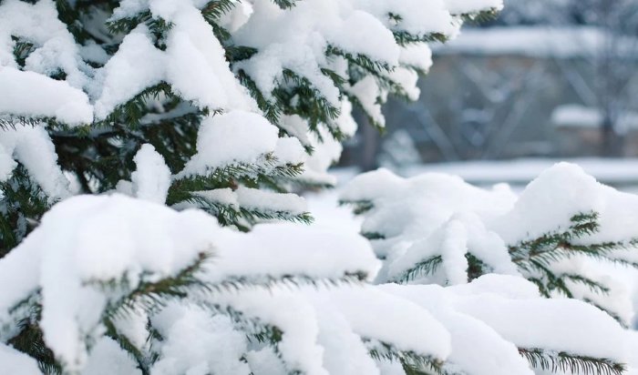 В Иркутске 27 и 28 декабря ожидаются морозы