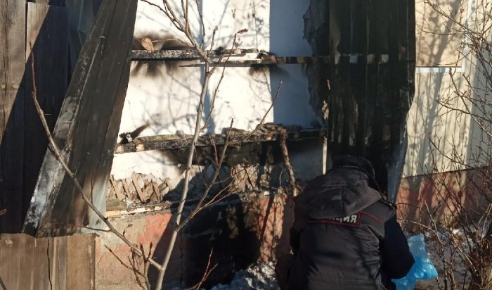 В Улан-Удэ произошел пожар в приюте для бездомных животных (Видео)