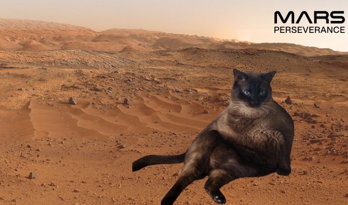 NASA запустило сервис, в котором можно сделать свое фото на Марсе