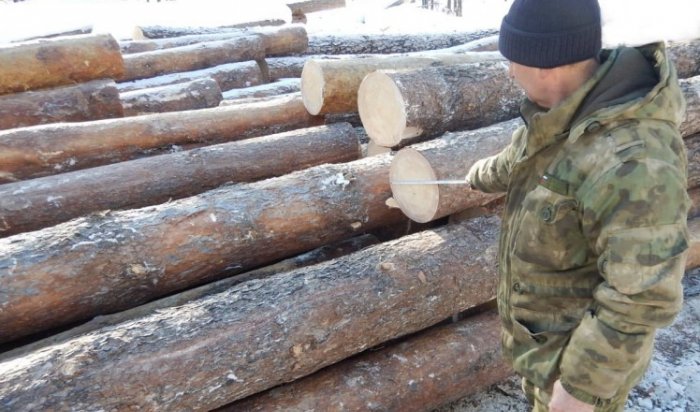 Полиция совместно с сотрудниками лесничества задержала подозреваемых в незаконной рубке леса в Куйтунском районе