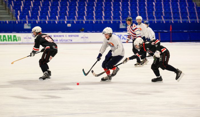 Репортаж с чемпионата Иркутской области среди любительских команд по хоккею с мячом