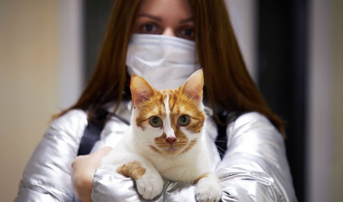 В России зарегистрировали первую в мире вакцину от COVID-19 для животных