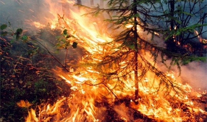 Три лесных пожара ликвидировали в Приангарье с 30 апреля по 2 мая