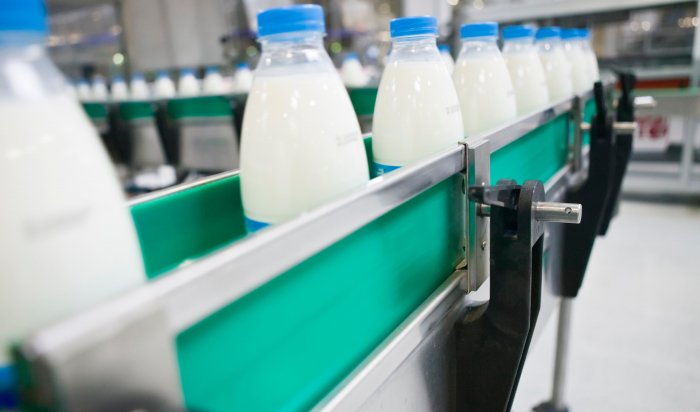 Цех по переработке молока откроется в Тулунском районе