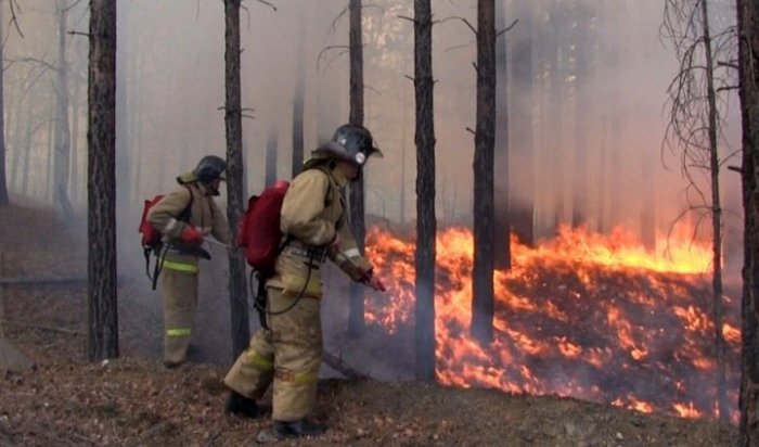 12 мая в Иркутской области ликвидировано три лесных пожара
