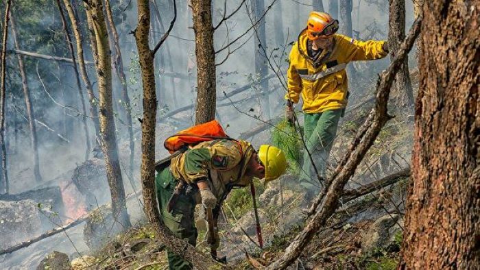 Восемь лесных пожаров ликвидировано в Приангарье за прошедшие сутки