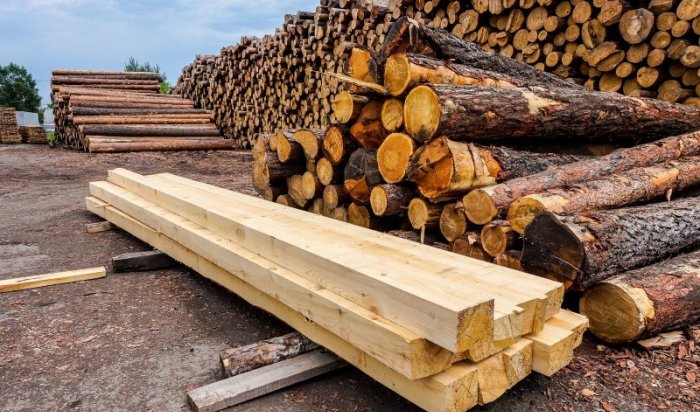 Жительница Братска обвиняется в контрабанде древесины стоимостью более 55 миллионов рублей