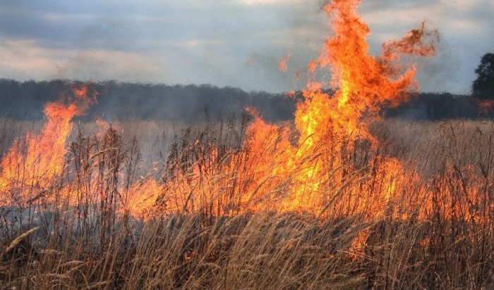 Поджигателя сухой травы задержали пожарные в Братске (Видео)