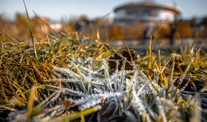 Ночные заморозки ожидаются в Иркутской области в ближайшие дни