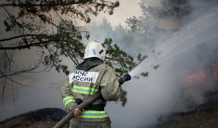 Лесной пожар в Бодайбинском районе не могут потушить третьи сутки