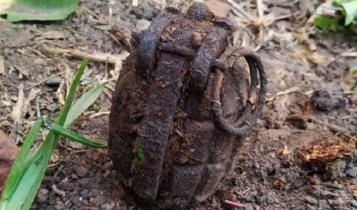 В Осинском районе местный житель нашел на своем огороде гранату времен мировых войн