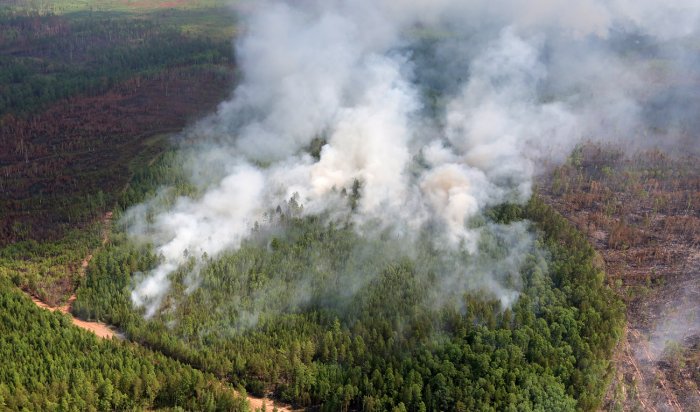 Чрезвычайный и высокий классы пожарной опасности лесов установились местами в Приангарье