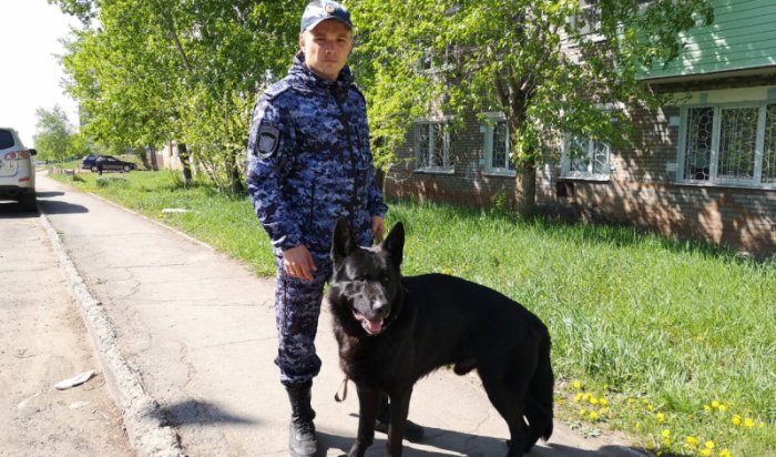 В Братске служебная собака помогла разыскать без вести пропавшего ребенка