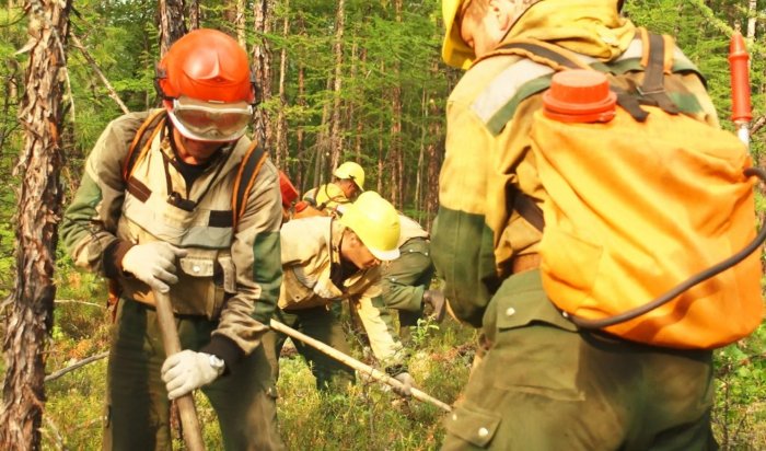 За минувшие сутки в лесном фонде в Иркутской области ликвидировано три пожара