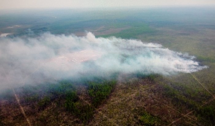 За минувшие сутки в Иркутской области ликвидировано более 500 га лесных пожаров