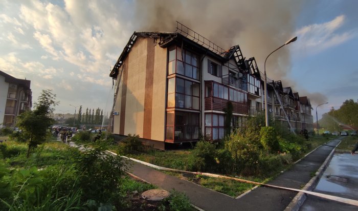 В Челябинской области сгорел дом после удара молнии (Видео)