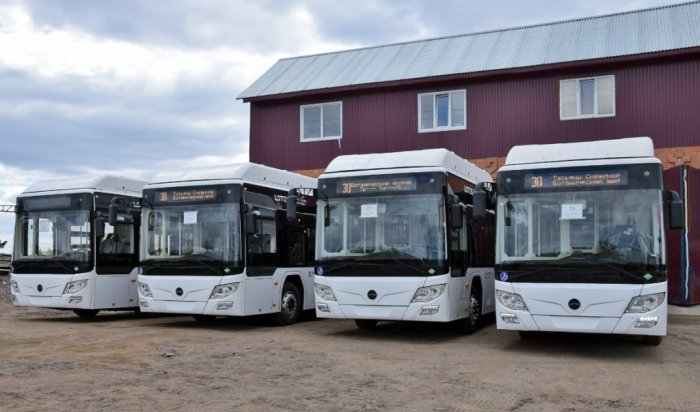 Новые автобусы на газовом топливе появятся на улицах Братска осенью