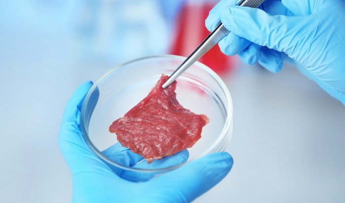 В Израиле открылась первая в мире фабрика по производству искусственного мяса