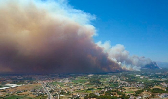 В турецкой провинции Анталья лесной пожар перекинулся на жилой квартал — пострадали более 50 человек