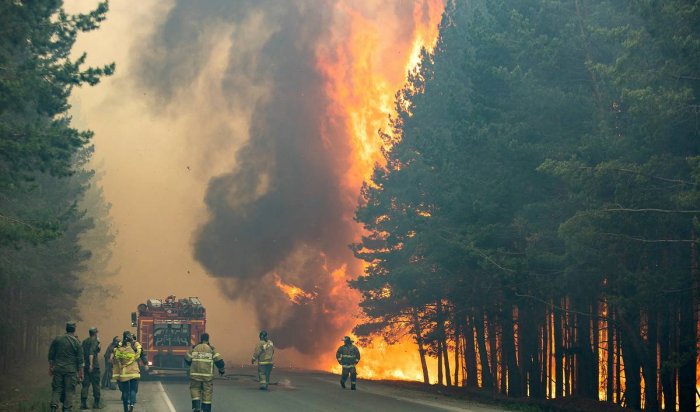 Площадь сгоревшего леса в Якутии превысила 4 миллиона гектаров (Видео)