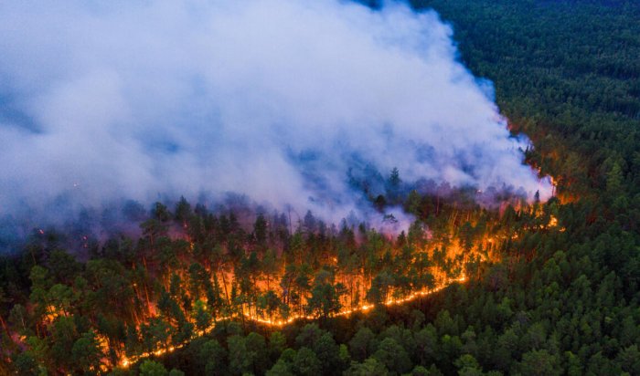 Шесть лесных пожаров ликвидировано за минувшие сутки в Иркутской области
