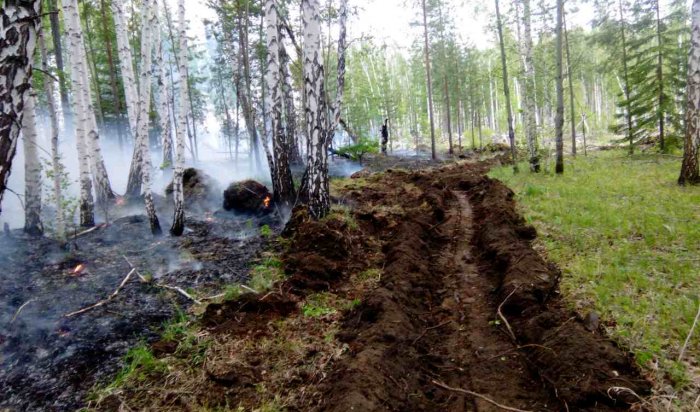 В Иркутской области снят региональный режим ЧС из-за лесных пожаров