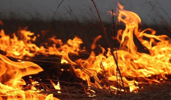 В Черемховском районе дети с зажигалками подожгли три тонны сена