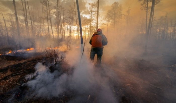 За сутки в Приангарье ликвидировано три лесных пожара