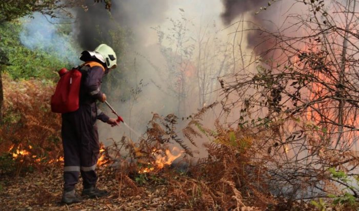 За минувшие сутки в лесном фонде в Иркутской области новых пожаров не зарегистрировано