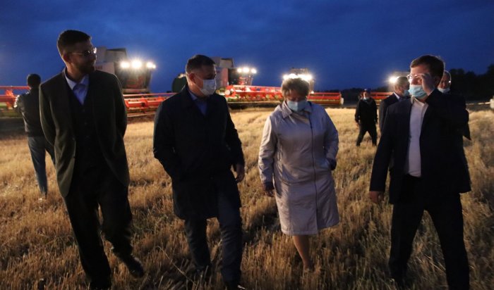 В Приангарье собрано более 200 тысяч тонн зерна