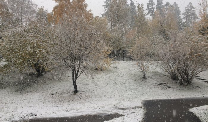 2 октября в Приангарье прогнозируется мокрый снег