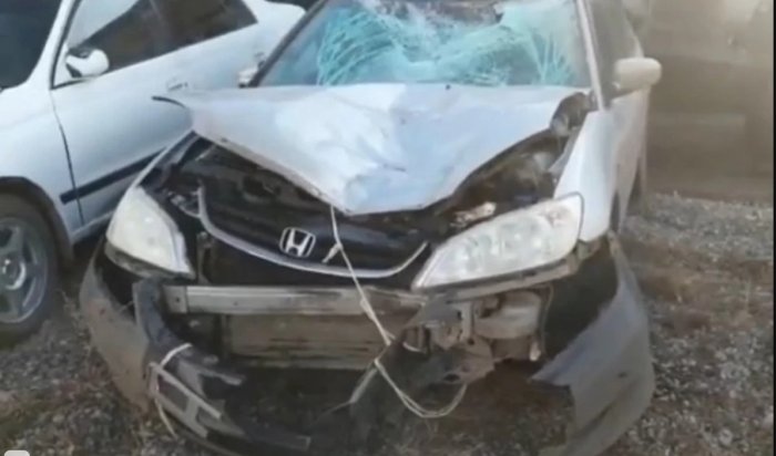 Возле поселка Залари водитель Honda Civic Ferio насмерть сбил женщину (Видео)