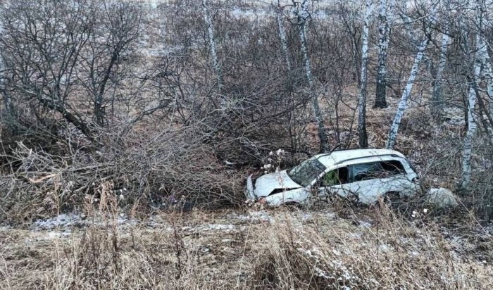 74-летняя пассажирка погибла в ДТП в районе деревни Шарагун