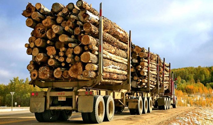Преступная группа экспортировала лесоматериалы на 230 млн рублей из Иркутской области в Азию (Видео)